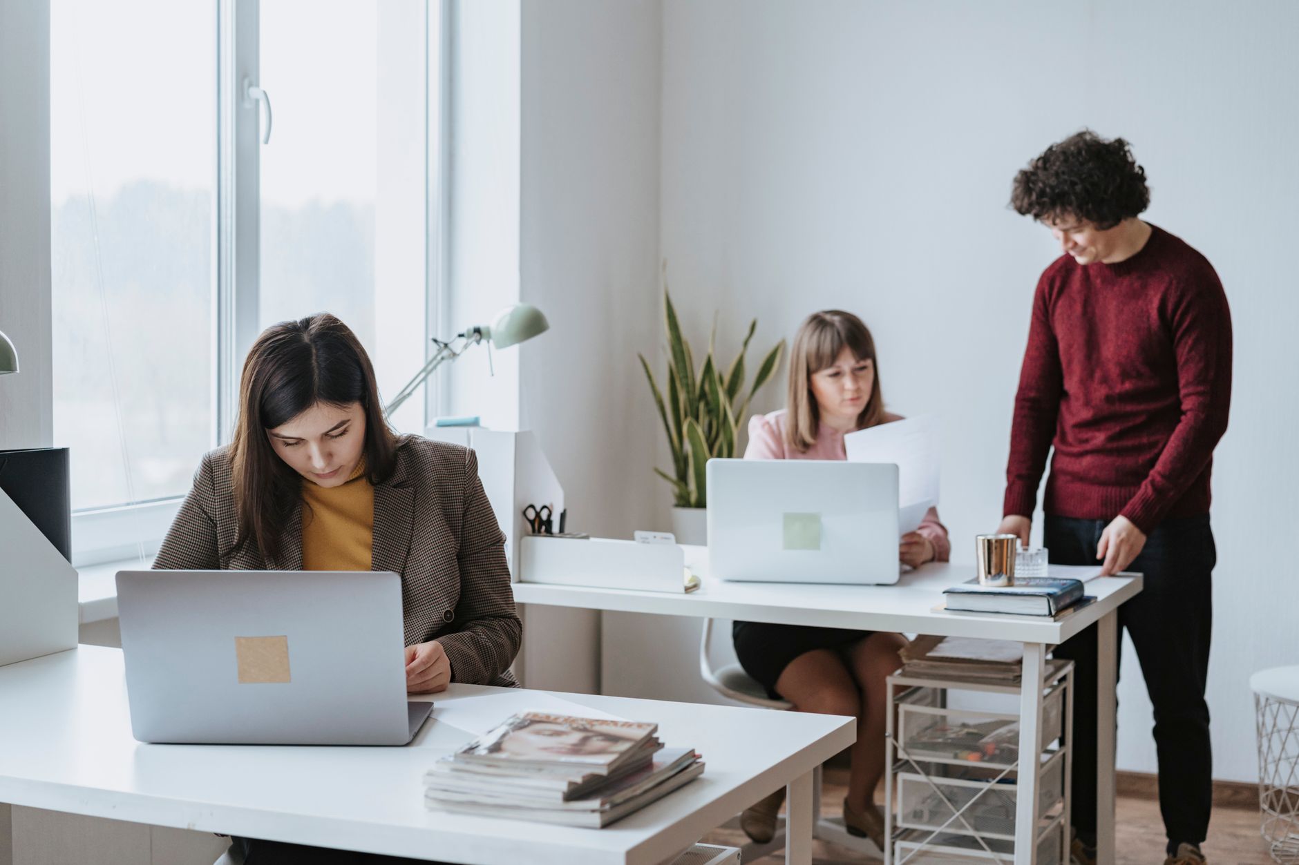 SEO team collaborating at office desks