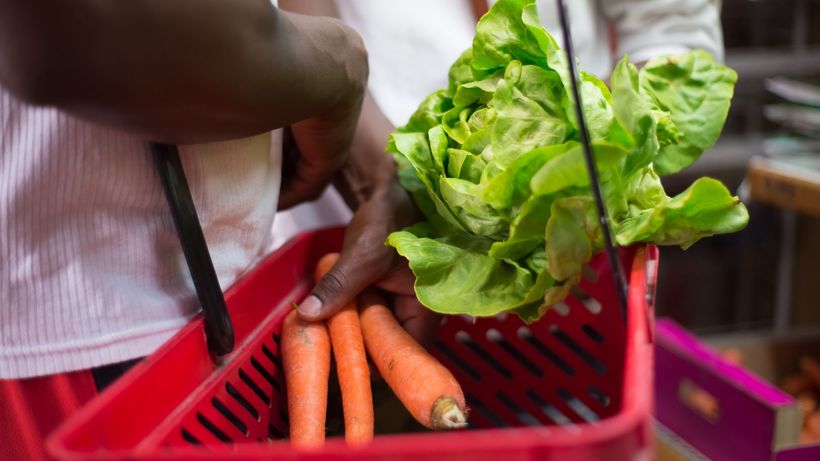 Hands holding red basket with fresh lettuce and carrots in a supermarket setting