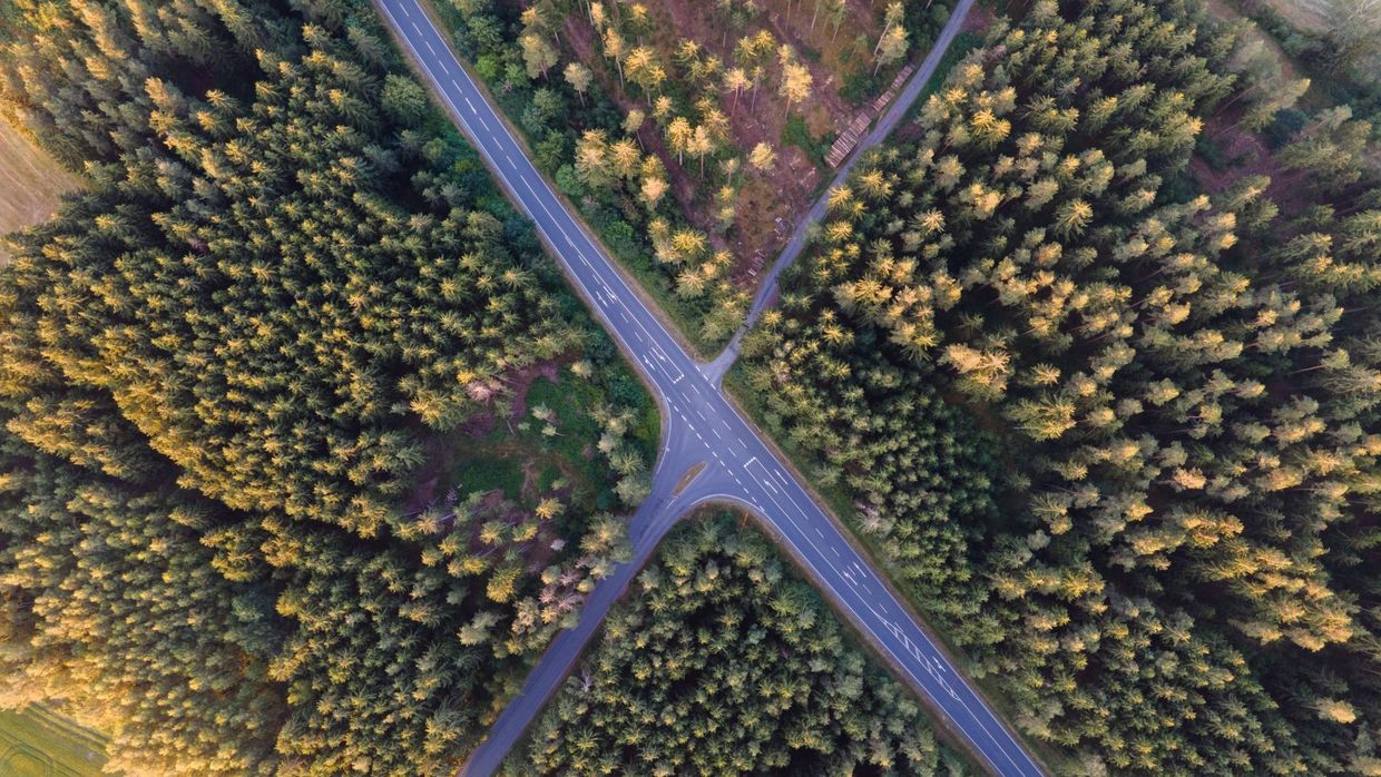 Starting an SEO career: aerial photo of forest intersection in Rehau, Germany at daylight