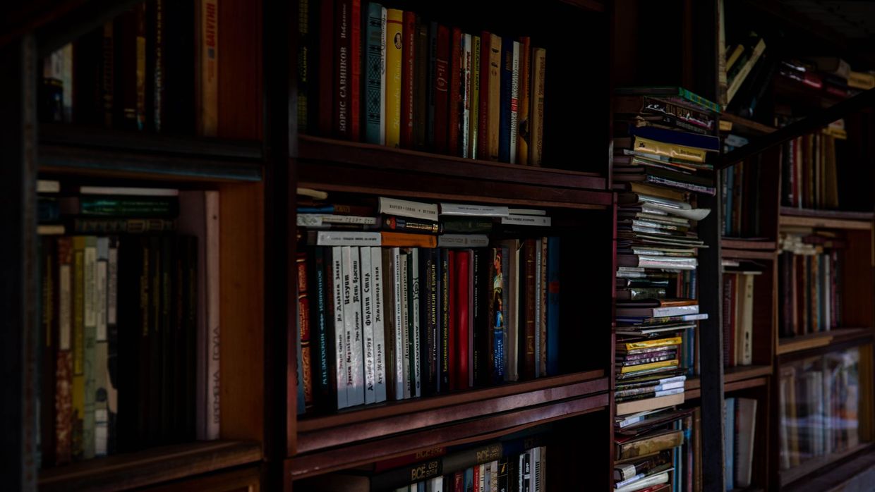 Topical authority: a dimly lit bookshelf filled with an array of books, creating a cozy and intellectual ambiance